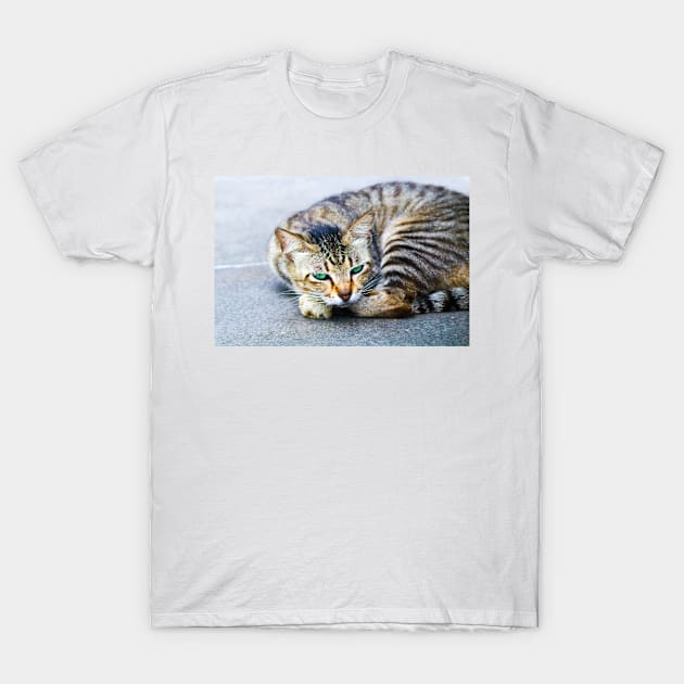 The cat with green eyes T-Shirt by Gun&One